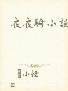 夜夜骑小说