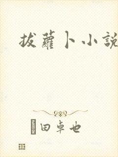 拔萝卜小说封面