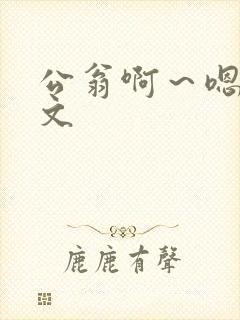 公翁啊～嗯啊h文