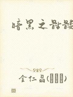 暗黑之骷髅王封面