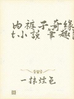 内裤子奇缘txt小说 笔趣阁封面
