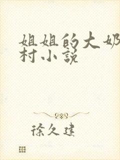 姐姐的大奶子乡村小说