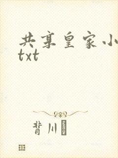 共享皇家小公主txt封面