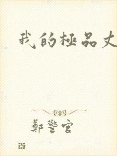 我的极品丈母娘封面