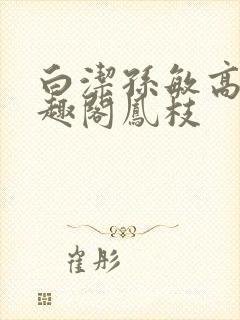 白洁孙敏高义笔趣阁凤枝