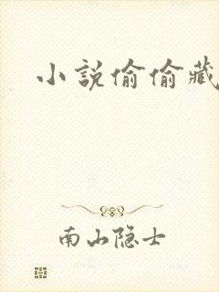 小说偷偷藏不住