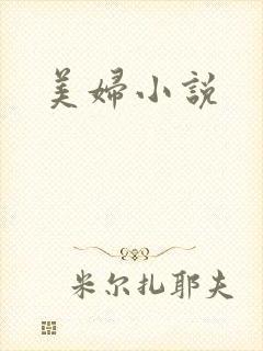 美妇小说封面