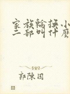 家族轮换小说第二部叫什么名字