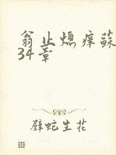 翁止熄痒苏钥第34章封面