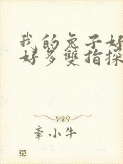 我的兔子好软水好多双指探洞小说封面