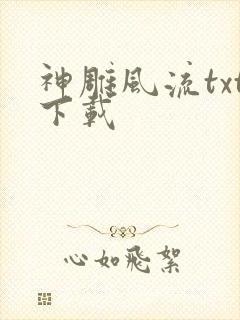 神雕风流txt下载