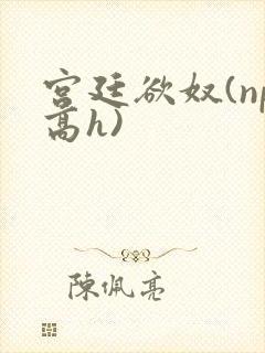 宫廷欲奴(np高h)