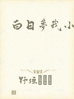 白日梦我小说封面
