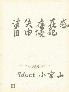 消失存在感消失自由侵犯