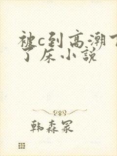 被c到高潮下不了床小说