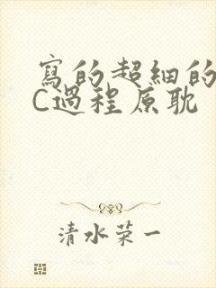 写的超细的多肉C过程原耽封面