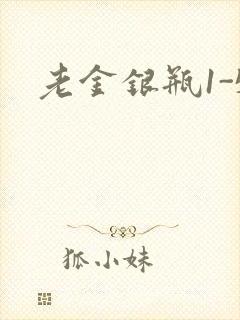 老金银瓶1-5封面