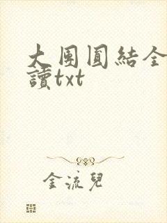 大团圆结全文阅读txt