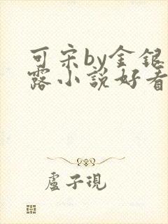 可宋by金银花露小说好看吗封面