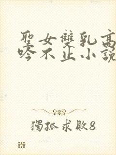 圣女双乳高耸呻吟不止小说