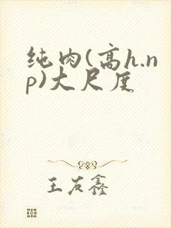 纯肉(高h.np)大尺度