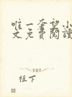 唯一奢望小说全文免费阅读