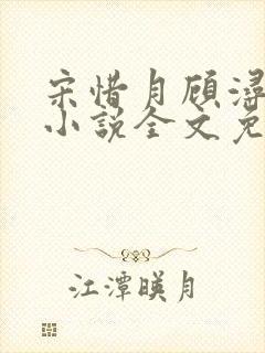 宋惜月顾浔渊的小说全文免费阅读