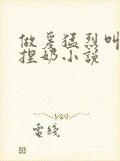 做爰猛烈叫床揉捏奶小说