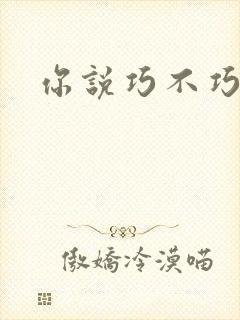 你说巧不巧封面