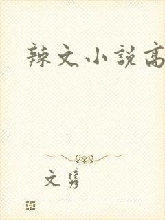 辣文小说高h封面