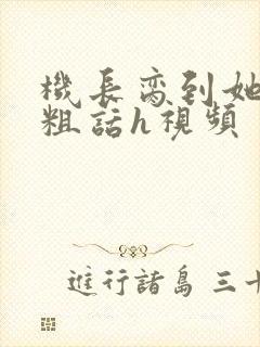 机长脔到她哭h粗话h视频