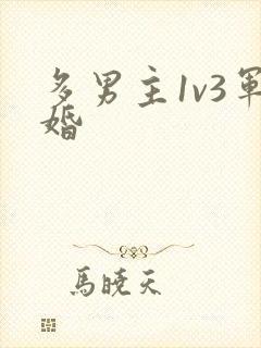 多男主1v3军婚