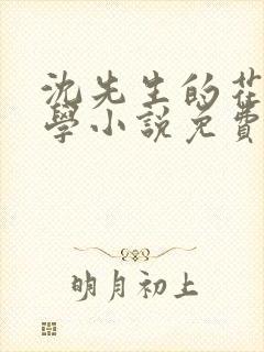 沈先生的花式教学小说免费封面