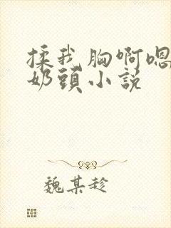 揉我胸啊嗯摸湿奶头小说