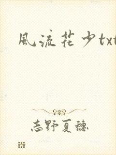 风流花少txt封面