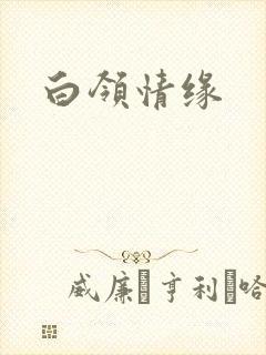 白领情缘