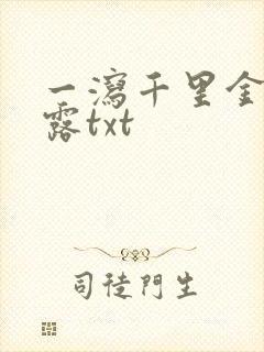 一泻千里金银花露txt封面