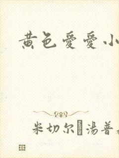 黄色爱爱小说