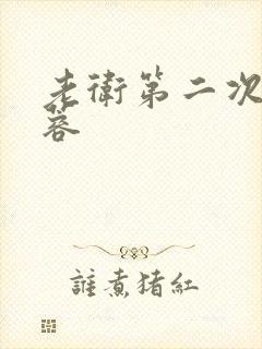 老卫第二次玩淑蓉封面
