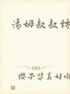 汤姆叔叔转接口