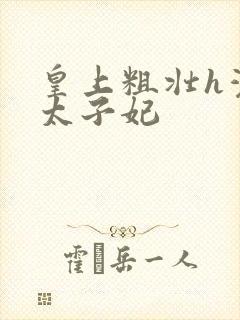 皇上粗壮h灌满太子妃封面