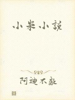 小米小说