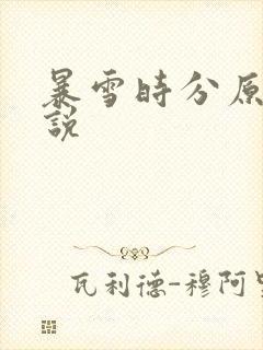 暴雪时分原著小说