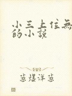 小三上位无三观的小说