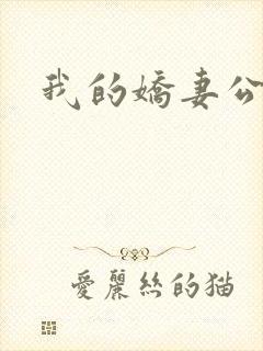 我的娇妻公务员