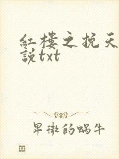 红楼之挽天倾小说txt