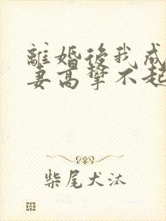 离婚后我成了前妻高攀不起的神