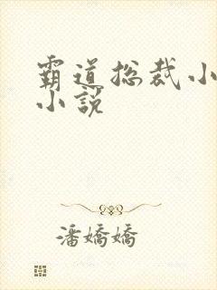 霸道总裁小娇妻小说