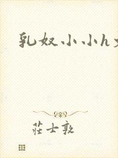 乳奴小小h文