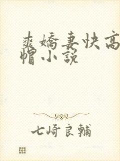 爽娇妻快高h绿帽小说